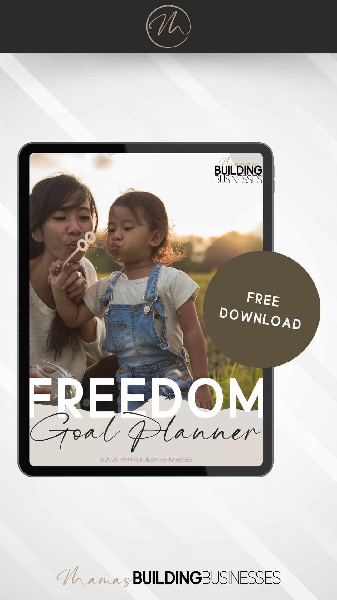 Freedom Goal Planner the Freedom Goal Planner - FREE Download - links to the planner in the Stan Store